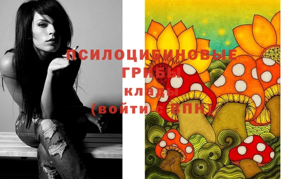 кокс Снежногорск