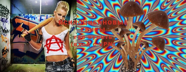 кокс Снежногорск