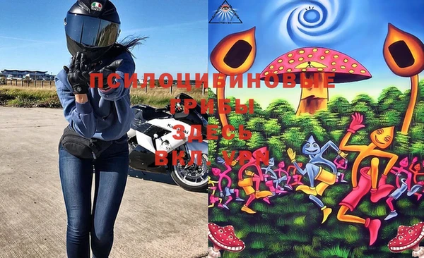 ГАЛЛЮЦИНОГЕННЫЕ ГРИБЫ Слюдянка