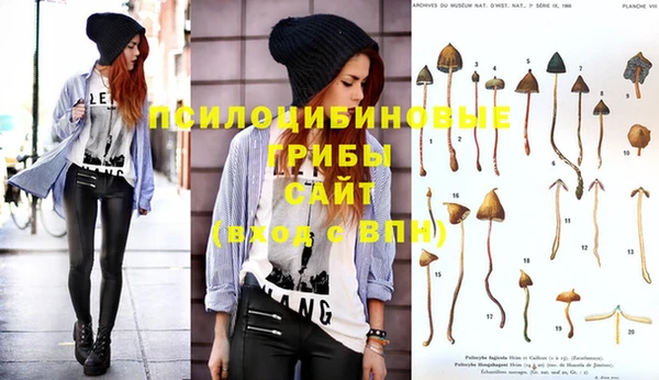 ГАЛЛЮЦИНОГЕННЫЕ ГРИБЫ Слюдянка