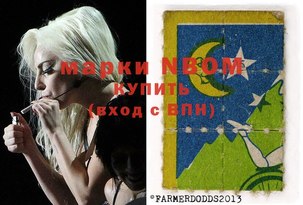 ГАЛЛЮЦИНОГЕННЫЕ ГРИБЫ Слюдянка